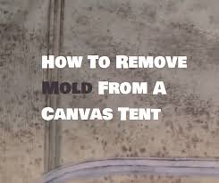 We did not find results for: How To Remove Mold From A Canvas Tent Sleeping With Air