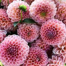 Pin On Beauty