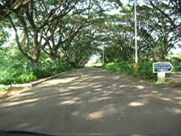 Located at krishi nagar, dharwad, karnataka. Drive Through The Shaded Lanes Of U A S Dharwad Youtube