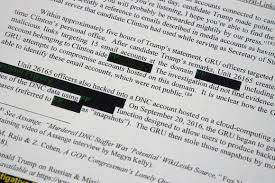 Only transaction that is being asked to be reimbursed should be showing. Mueller Obsessives Race To Get Redactions Lifted Politico