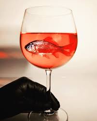 Un Vin Vivant Et Marin Salinite Presente En Bouche Accords Et Mets Fruits De Mer Poisson D Avril Vin Wine Nocommen Alcoholic Drinks Wine Rose Wine