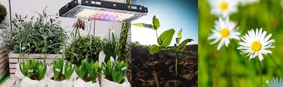 Im talking about the actual power draw, the actual watts that your light pulls out of the wall. Led Grow Lamp Panel Light Aogled 150w Equivalent Growing Lamp Plant Grow Light For Indoor Plants Full Spectrum Panel Growing Lamp For Seedling Veg And Flower