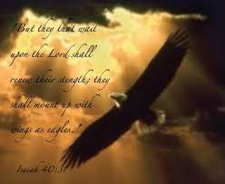Eagle Quotes Quotesgram Bible Quotes Images Eagles Quotes Bible Quotes