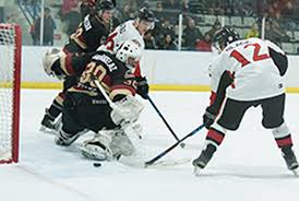 Chase Heat experience close encounter with bears