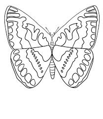 There are various types of species are. 40 Free Printable Butterfly Coloring Pages
