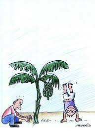 O Que Quer Dizer Plantar Bananeira? Se você achou que plantar bananeira é  você pegar uma muda de bananeira e plantar na terra você errou pois não é  nada disso. Na verdade