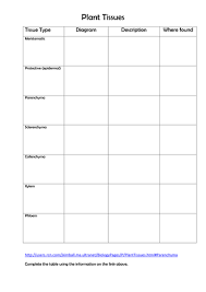 Cells of the epithelial tissue have different shapes as shown on the student's worksheet. Types Of Tissues Worksheet Promotiontablecovers