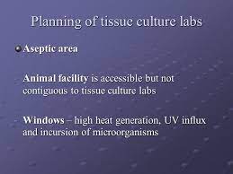 Check spelling or type a new query. Laboratory Design And Layout Ppt Video Online Download