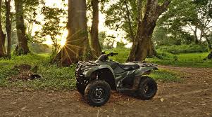 Yamaha 250 bear tracker wiring diagram. Download Yamaha Big Bear Repair Manual 250 350 400