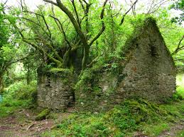 Maison Abandonnee Sneem Kenmare Irlande Endroits Abandonnes Lieux Insolites Maison Abandonnee