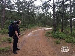 Maybe you would like to learn more about one of these? Wharton State Forest Loop Mullica River Trail Beaver Pond Quaker Bridge Trail Wilderness Connector Loop Shamong Nj South Jersey Trails