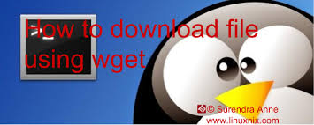 Help i have a pro membership and still can't download pfd files. Wget Download A File To A Directory In Linux Unix The Linux Juggernaut