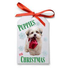 You don't have to get a faithful loving puppy for christmas. Sweet Romance Reads Do You Like Puppies Do You Like Christmas