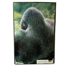 gorillas in the mist | dian fossey
