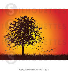 Silhouette Clipart Of A Falling Autumn Leaves Falling Off Of A Silhouetted Maple Tree In A Grassy Landscape Against An Red Sunset Autumn Leaves Tree Silhouette