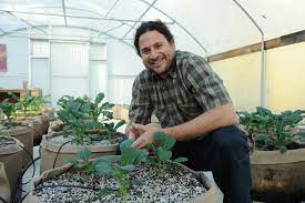 Check spelling or type a new query. Light Deprivation And Sustainable Cannabis Jonathan Valdman Of Forever Flowering Greenhouses Weighs In Canna Tech Global
