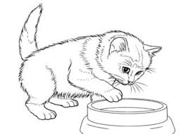 Zabawy kotka i pieska · zabawy kotka i pieska. Kolorowanki Kot Do Druku I Wydruku Online