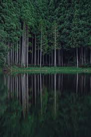 Here you'll find a variety. Product Page 17 70mm F 2 8 Di Iii A Vc Rxd Model B070 E Mount Standard Zoom Lens Tamron