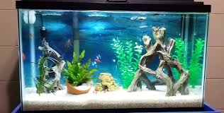We did not find results for: Best Gallon Fish Tank Aquarium 5 10 100 20 200 30 40 55 150 Bathroom Exhaust Fan