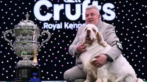 Crufts 2026: Clumber spaniel named Bruin wins best in show