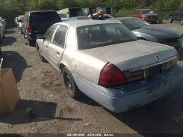 Image result for Tan 2009 Fleet