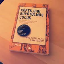 Kopek Gibi Buyutulmus Cocuk Anne Notlari