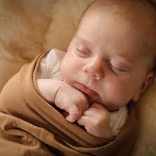 Steph Ansley Photography