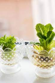 Grow An Indoor Salad Garden From Stems Regrow Vegetables Growing Celery Regrow Celery