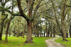 Address, losco regional park reviews: Explore Jax Losco Regional Park