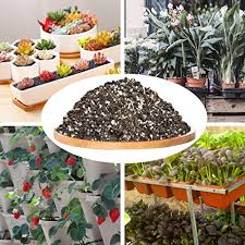 Cactus soil does offer short term application for bonsai, as you have seen, for sapling/seedling growth. 6 Best Soil For Succulents In Pots 2021 Edition Succulent Alley