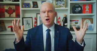 Erin o'toole, leader of canada's conservatives and the official opposition, unveiled the canada emergency preparedness plan. Erin O Toole Emphasizes Canada India Ties At Interactive Iccc Session Weekly Voice