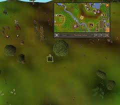 Osrs Wintertodt Guide Best Xp Gear For 2020 Ez Rs Gold