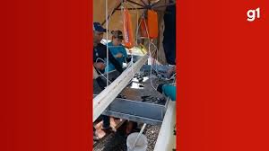 Produtor utiliza tecnologia em várias etapas da piscicultura em MS