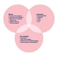 Image result for Wagner Ulcer Classification