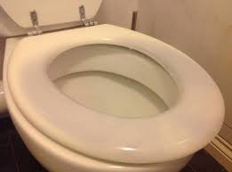 La más amplia selección de productos para tu cuarto de baño, con los mejores precios. Si Tu Inodoro Se Vuelve Azul Puede Que Estes Embarazada Y No Lo Sepas Familias