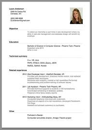 sample of a beginner's cv giga cv