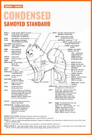 how to breed samoyeds health litter size background faq