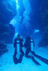 Meet The New Padi Divemaster Trainee Scuba Center Asia