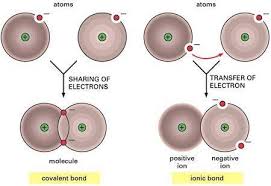 Ionic and covalent bonds are the two main types of chemical bonding. Similarities Differences Between Ionic Covalent