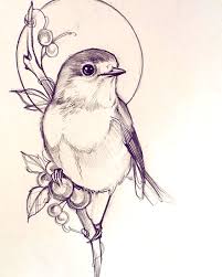 Den Yparxei Dia8esimh Perigrafh Gia Th Fwtografia In 2020 Bird Drawings Art Drawings Sketches Simple Cool Art Drawings