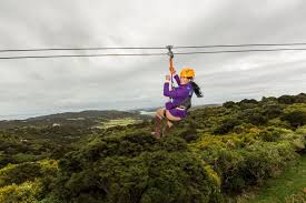 Malaysia post estimated delivery time from malaysia to new zealand. A Must Do Activity In New Zealand Ecozip Adventure Find Another Fun Activities You Can Enjoy In New Zealand By New Zealand Fun Activities What Inspires You