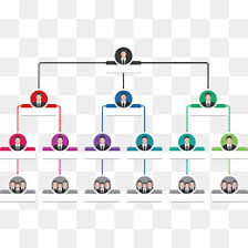 Organization Chart Png Vectors Psd An 219599 Png