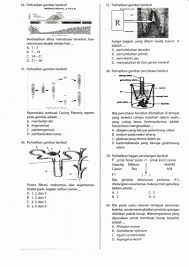 Maybe you would like to learn more about one of these? Ucun 2 Ipa Smp 2019 Lasopachicks