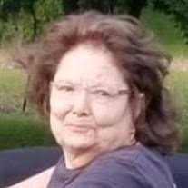 Kathleen Ann Orrick Obituary (2024)