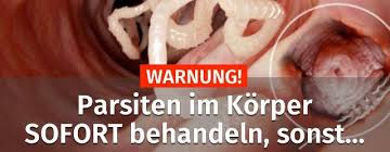 Gesundheitsrisiko für tier und mensch. Warnung Parasiten Im Korper Sofort Behandeln Sonst