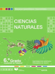 Fill the forms below to register. Cuaderno De Trabajo De Ciencias Naturales 6 Resuelto 2020 2021