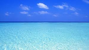 Informazioni sulle maldive del salento, come raggiungere la spiaggia più famosa del salento e le foto più belle di uno dei luoghi più suggestivi di tutta la puglia. Le Maldive Del Salento 24 Ore News