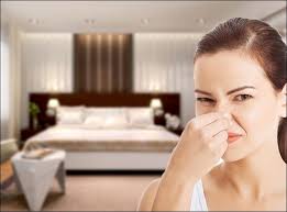 Khử mùi thức ăn trong phòng kín chỉ với vài mẹo đơn giản