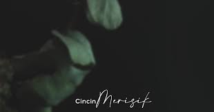 5 tips beli cincin tunang atau kahwin. 3 Jenis Cincin Dalam Perkahwinan Merisik Bertunang Dan Nikah Blog Sihatimerahjambu