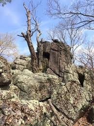Maybe you would like to learn more about one of these? Caledonia State Park Pennsylvania Beste Route Zum Aussicht Alltrails
